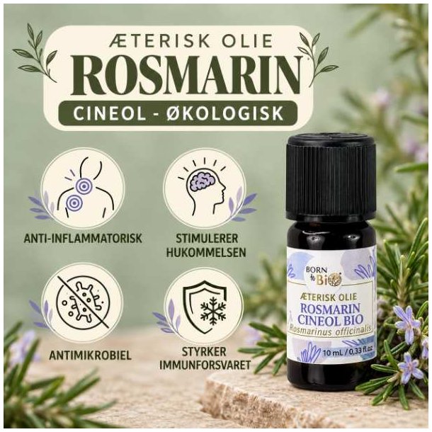 Born to Bio �terisk rosmarinolie 10 ml vist med produktinformation og grafiske ikoner for �kologi.