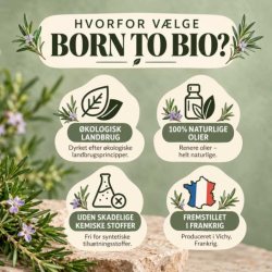 Infografik fra Born to Bio der viser fordelene ved deres �kologiske �teriske olier.