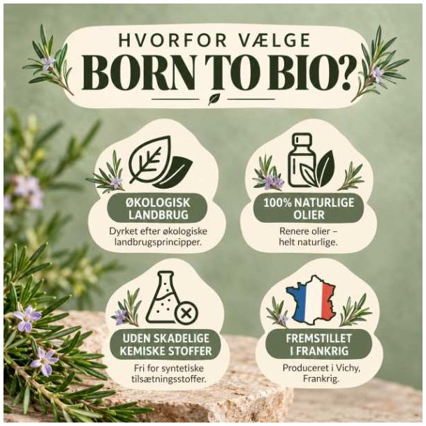 Infografik fra Born to Bio der viser fordelene ved deres �kologiske �teriske olier.