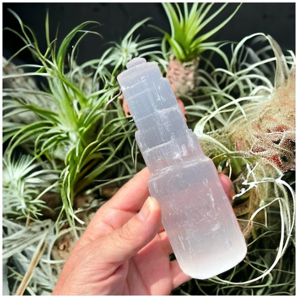 Selenit trne rustikke, Ml ca. 15 cm