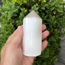 Trne i selenit | polerede | Ml ca. 8 x 3,2 cm