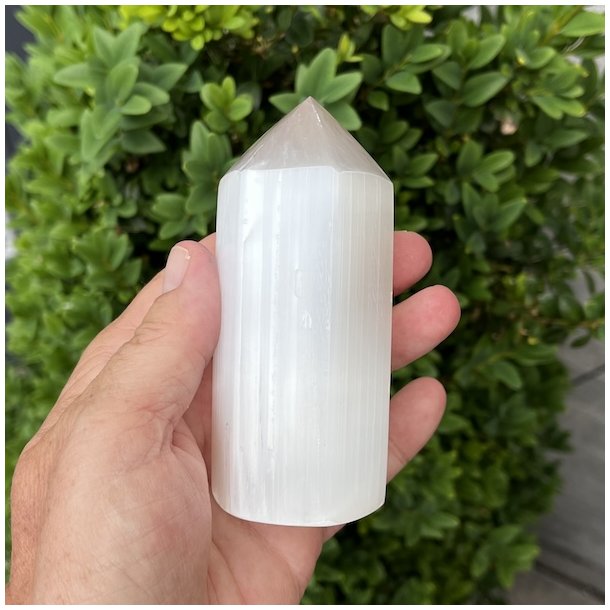 Trne i selenit | polerede | Ml ca. 8 x 3,2 cm