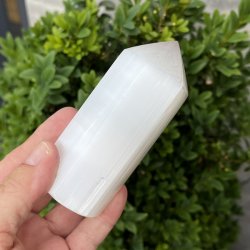 Trne i selenit | polerede | Ml ca. 8 x 3,2 cm