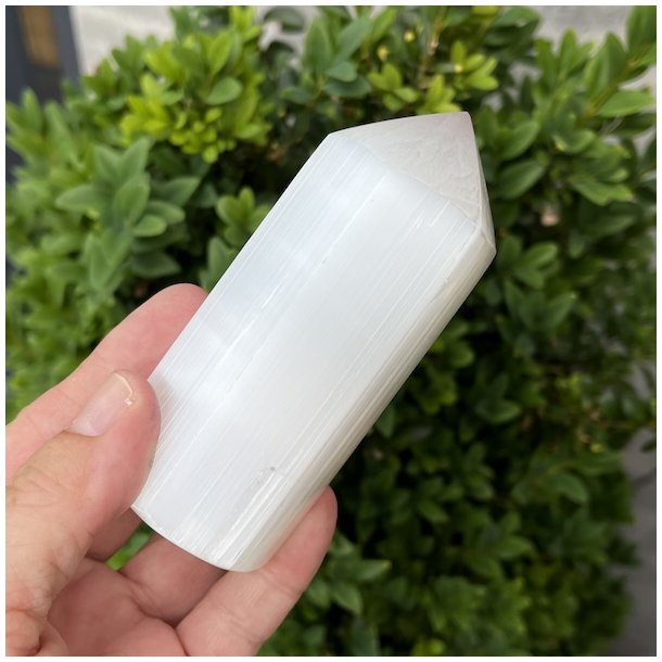 Trne i selenit | polerede | Ml ca. 8 x 3,2 cm