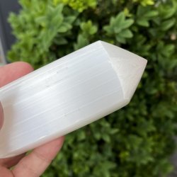 Trne i selenit | polerede | Ml ca. 8 x 3,2 cm