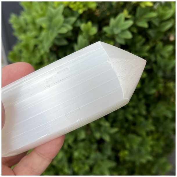 Trne i selenit | polerede | Ml ca. 8 x 3,2 cm