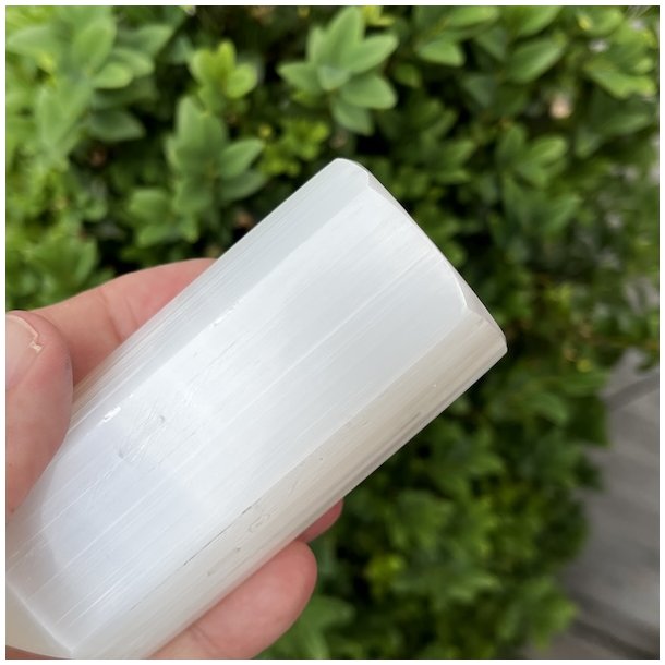 Trne i selenit | polerede | Ml ca. 8 x 3,2 cm