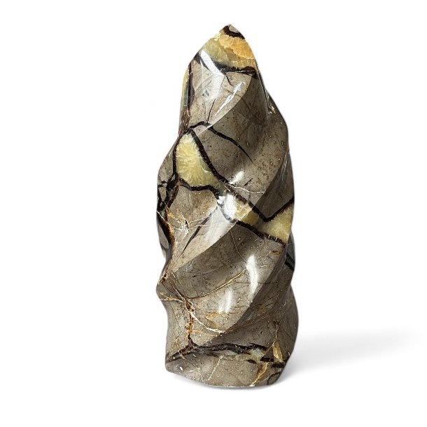 Septarie flamme UNIKA, M�l 14,8 x 6,5 cm