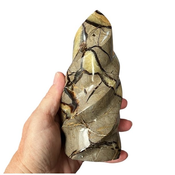 Septarie flamme UNIKA, M�l 14,8 x 6,5 cm