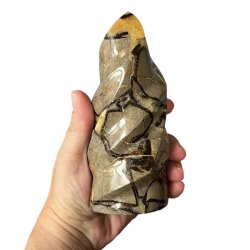 Septarie flamme UNIKA, M�l 14,8 x 6,5 cm