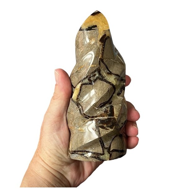 Septarie flamme UNIKA, M�l 14,8 x 6,5 cm