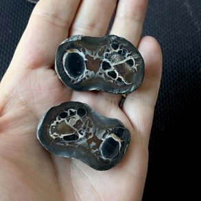 Septarie geode par,  UNIKA, M�l 4,1 x 2,7 cm