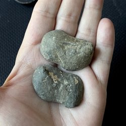 Septarie geode par,  UNIKA, Ml 4,1 x 2,7 cm