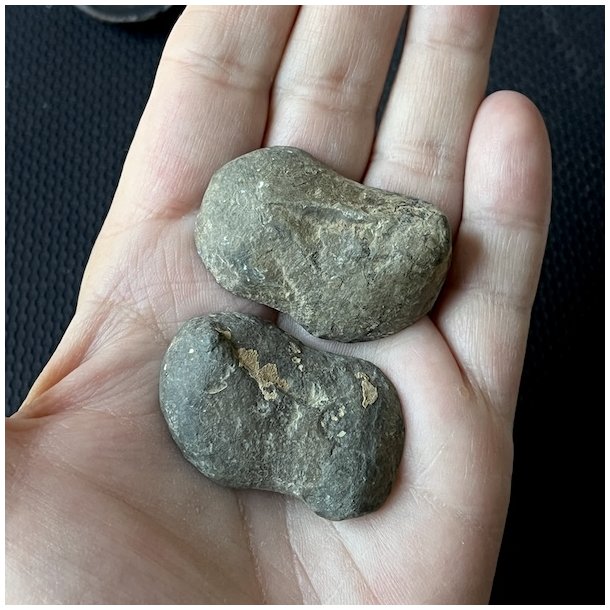 Septarie geode par,  UNIKA, Ml 4,1 x 2,7 cm