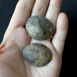 Septarie geode par,  UNIKA, Ml 3,5 x 2,7 cm