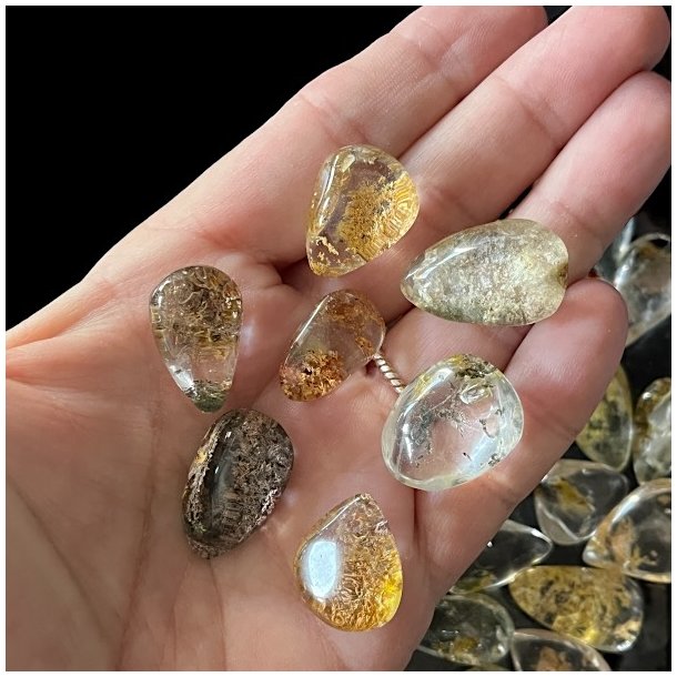 Shaman Dreamstone dr�be 2 til 2,5 cm lodolit gardenkvarts