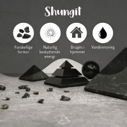 Shungit | Lommesten | M�l 2 - 3 cm