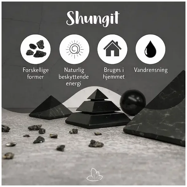 Shungit | Lommesten | M�l 2 - 3 cm