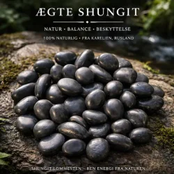 Shungit | Lommesten | M�l 2 - 3 cm
