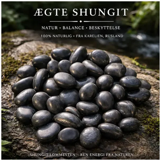 Shungit | Lommesten | M�l 2 - 3 cm