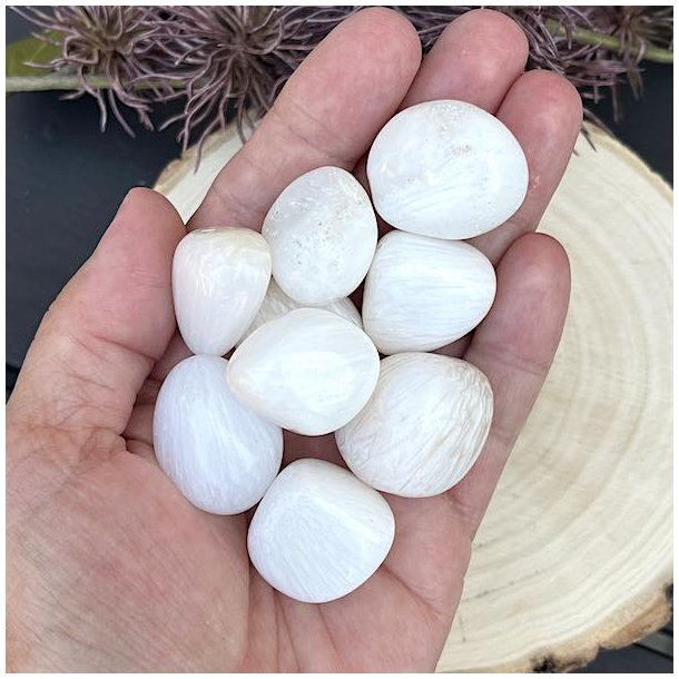 Skolesit | lommesten | Ml 2 - 3 cm