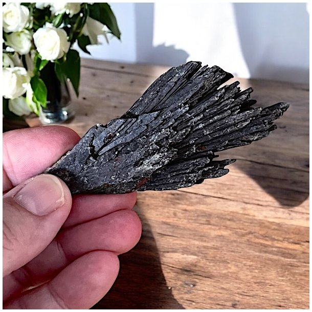 R sort kyanit 6,5-8,5 cm i smuk kvalitet  en strk krystal til beskyttelse og energiforgelse.