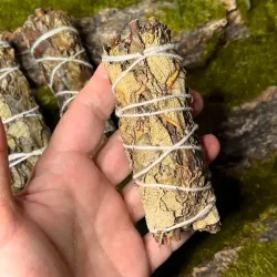 Sort salvie smudge | Ml ca. 10,5 -11 cm