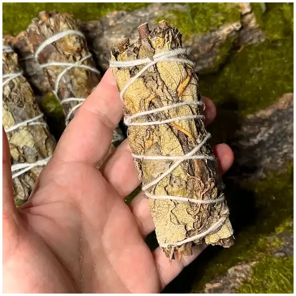 Sort salvie smudge | Ml ca. 10,5 -11 cm