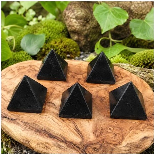 Sort turmalin pyramider p� rustik tr�bakke med naturlig baggrund af mos og gr�nne planter