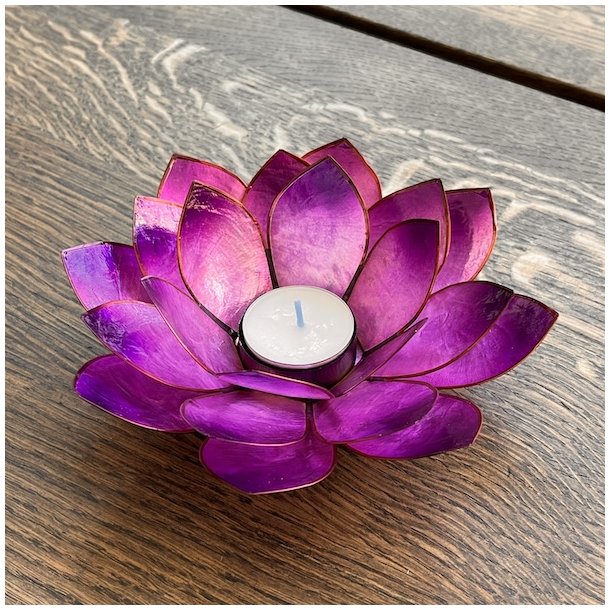 Stor h�ndlavet lotus fyrfadsstage i lilla capiz skal � 16 cm