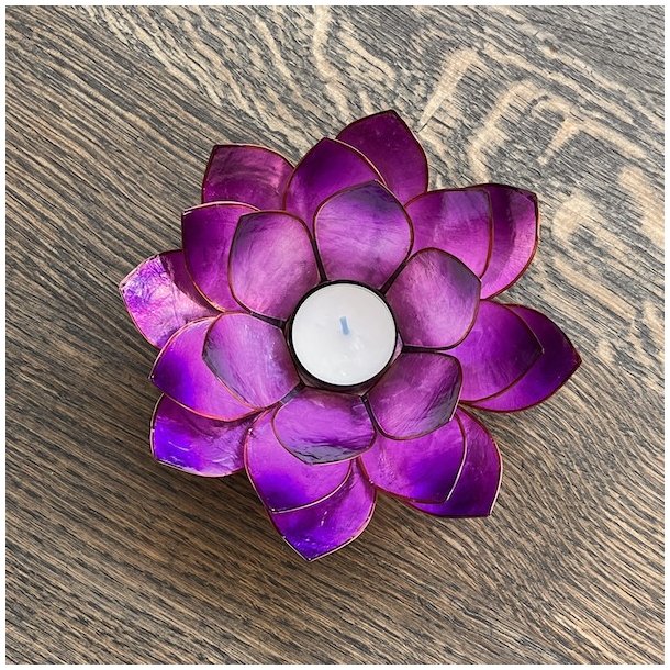 Stor h�ndlavet lotus fyrfadsstage i lilla capiz skal � 16 cm