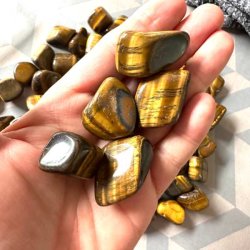 Tiger�je lommesten i gyldne og brune nuancer i h�nden