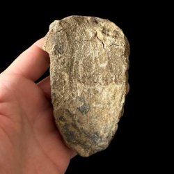 Bagsiden af det samme unika trilobit-fossil holdt i en h�nd mod en sort baggrund, hvor overfladen fremst�r helt r�, flad og d�kket af lysegr� stensedimenter.