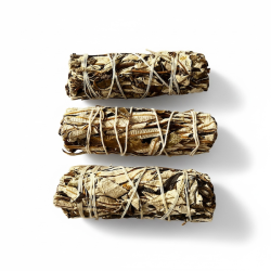 Yerba Santa � Hellig Urt til Beskyttelse, Smudging og Helbredelse