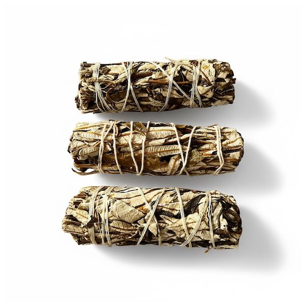 Yerba Santa � Hellig Urt til Beskyttelse, Smudging og Helbredelse