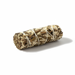 Yerba Santa � Hellig Urt til Beskyttelse, Smudging og Helbredelse